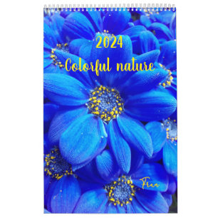 2024 farbenfroher Naturkalender Kalender