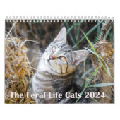 2024 Feral Life 2024 Schöne Katzen Kalender (Titelbild)