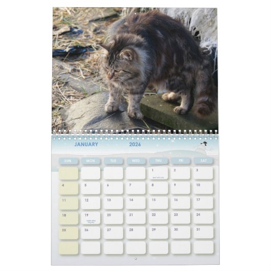 2024 Feral Life 2024 Schöne Katzen Kalender (Jan 2026)