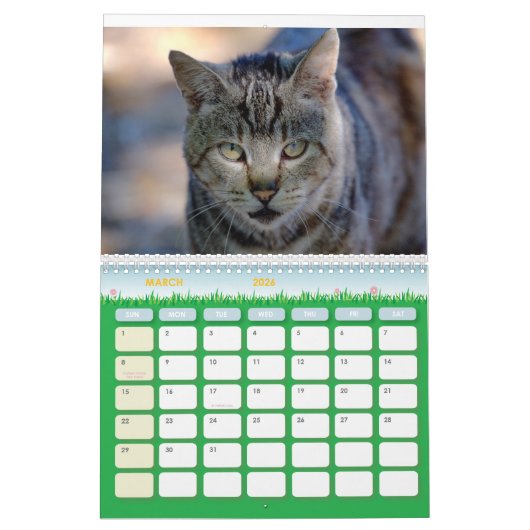 2024 Feral Life 2024 Schöne Katzen Kalender (Mär 2026)