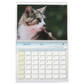 2024 Feral Life 2024 Schöne Katzen Kalender (Feb 2026)
