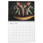 2024 Frog Lovers Calendar Kalender (Feb 2027)
