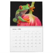2024 Frog Lovers Calendar Kalender (Jan 2026)