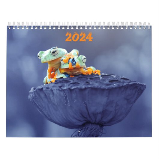 2024 Frog Lovers Calendar Kalender (Titelbild)
