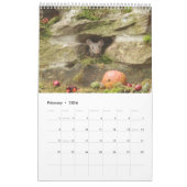 -2024- George the mouse - mouse village calendar Kalender (Feb 2026)