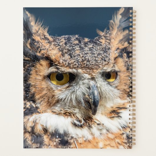 2024 Großes Hornhuhn Planer (Rückseite)