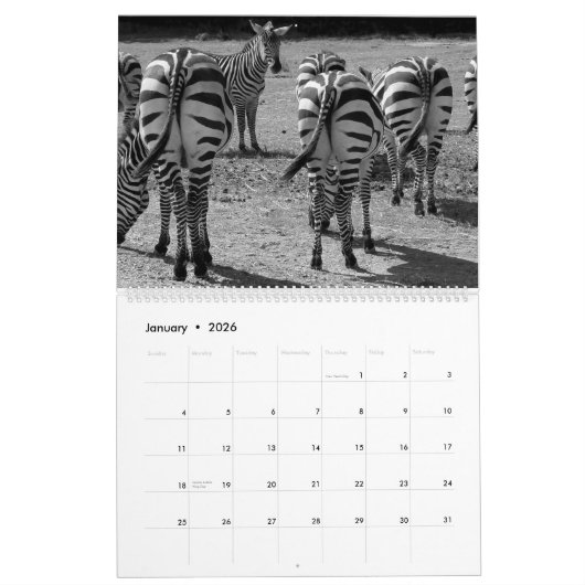 2024 Hintern Kalender (Jan 2026)