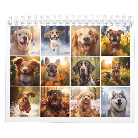 2024 Hunde lieben Kalender (Rückseite)