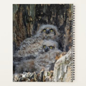 2024 Junge Großhornschale Planer (Rückseite)