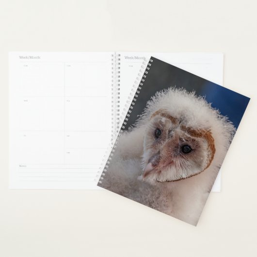 2024 Junge Scheunenschale Planer (Anzeige)