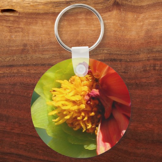 2024 JW Declare the Good News customize Schlüsselanhänger (Rückseite)