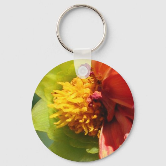 2024 JW Declare the Good News customize Schlüsselanhänger (Rückseite)