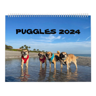 2024 KALENDER
