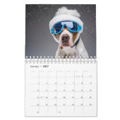 2024 Kalender 12 Monate Hunde mit Brille (Jan 2027)