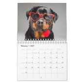 2024 Kalender 12 Monate Hunde mit Brille (Feb 2027)