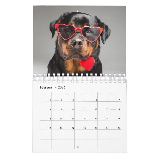 2024 Kalender 12 Monate Hunde mit Brille (Feb 2026)