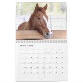 2024 - Kalender der Wilden Pferde der Mustang Miss (Jan 2026)