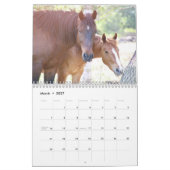 2024 - Kalender der Wilden Pferde der Mustang Miss (Mär 2027)