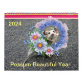 2024 Kalender farbenfrohe Froschblüte (Titelbild)