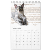 2024 Kalender Maine Coon Katzen & Kätzchen, Poesie (Jan 2026)