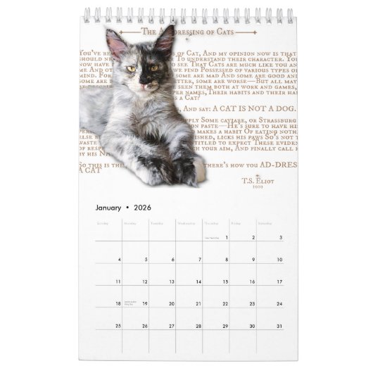 2024 Kalender Maine Coon Katzen & Kätzchen, Poesie (Jan 2026)