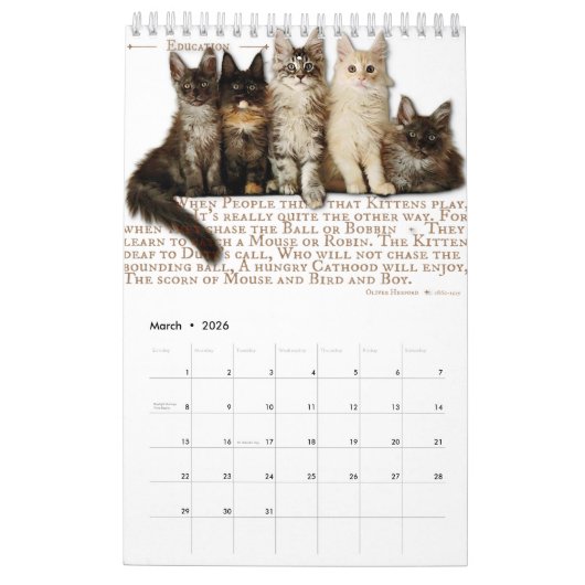 2024 Kalender Maine Coon Katzen & Kätzchen, Poesie (Mär 2026)