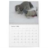 2024 Kalender Niedliche Poodle Dog Images (Jan 2026)