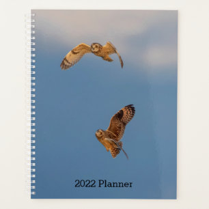 2024 Kurz geächtete Eulen Planer