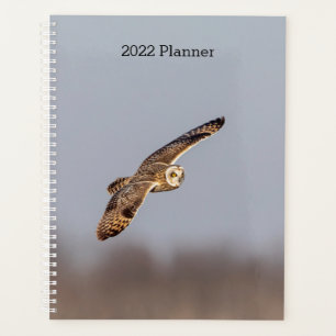 2024 Kurz gezüchtetes Schaf Planer