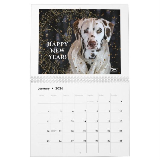 2024 Liebe & Schokolade Dalmatiner Kalender (Jan 2026)
