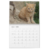 2024 Liebliche orangefarbene Katzen Kalender (Mär 2026)