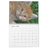 2024 Liebliche orangefarbene Katzen Kalender (Jan 2027)