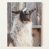 2024 Llama im Betrieb Planer (Rückseite)