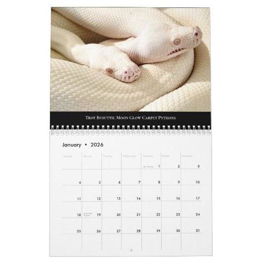 2024 Morelia Python Radio Calendar Kalender (Jan 2026)