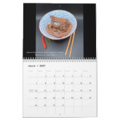 2024 Morelia Python Radio Calendar Kalender (Mär 2027)
