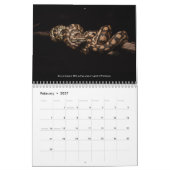 2024 Morelia Python Radio Calendar Kalender (Feb 2027)