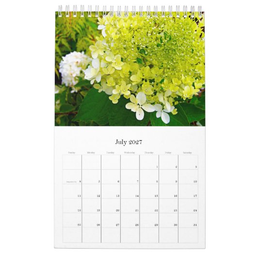 2024 My Rubio Garden Elegant Hydrangeas Kalender (Jul 2027)