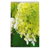 2024 My Rubio Garden Elegant Hydrangeas Kalender (Titelbild)