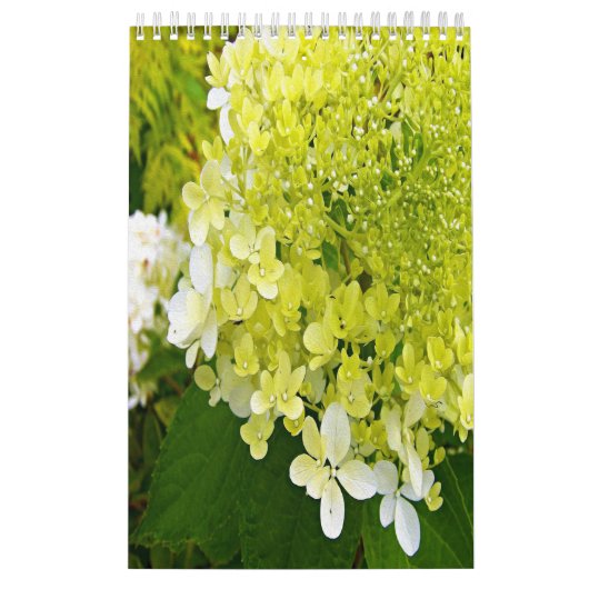 2024 My Rubio Garden Elegant Hydrangeas Kalender (Titelbild)