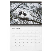 2024 Natur durch meinen Lens-Kalender Kalender (Mär 2026)