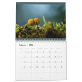 2024 Natur durch meinen Lens-Kalender Kalender (Feb 2026)