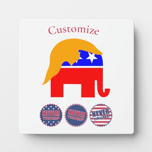 2024 nie Trump Thunder_Cove Fotoplatte (Vorderseite)