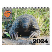 2024 Pangolin Rescue Fund Calendar Kalender (Titelbild)