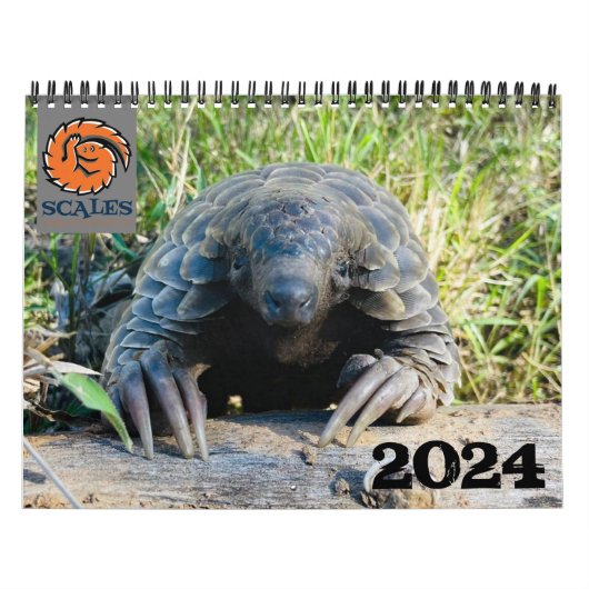 2024 Pangolin Rescue Fund Calendar Kalender (Titelbild)