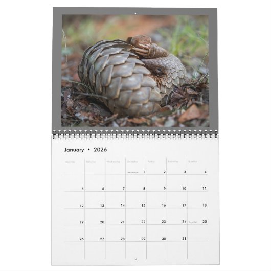 2024 Pangolin Rescue Fund Calendar Kalender (Jan 2026)