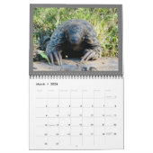 2024 Pangolin Rescue Fund Calendar Kalender (Mär 2026)