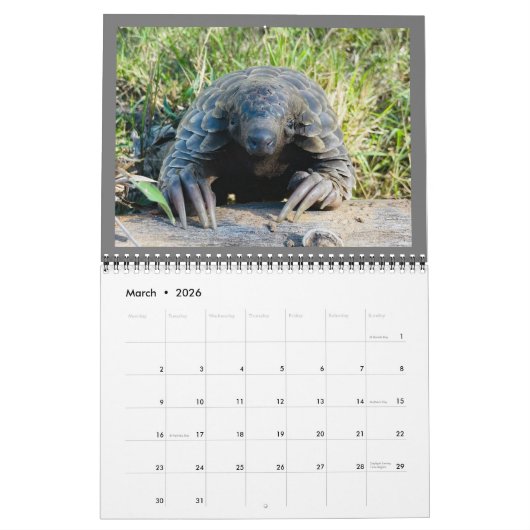 2024 Pangolin Rescue Fund Calendar Kalender (Mär 2026)