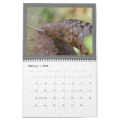 2024 Pangolin Rescue Fund Calendar Kalender (Feb 2026)
