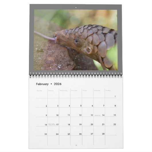 2024 Pangolin Rescue Fund Calendar Kalender (Feb 2026)