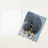 2024 Peregrine Falcon Planer (Anzeige)